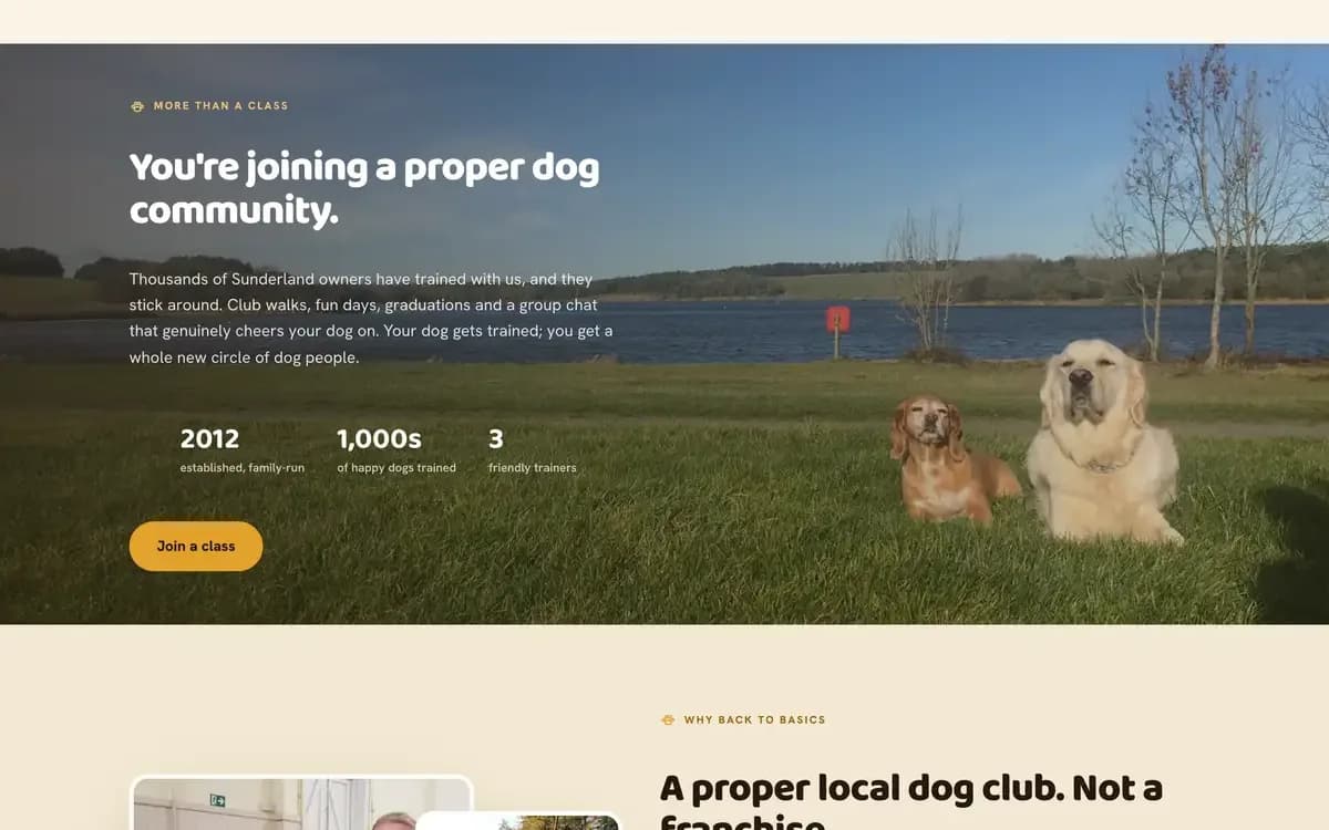 Back To Basics Dog Training, second detail