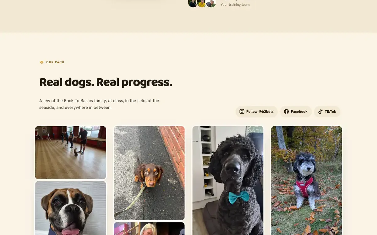 Back To Basics Dog Training, third detail