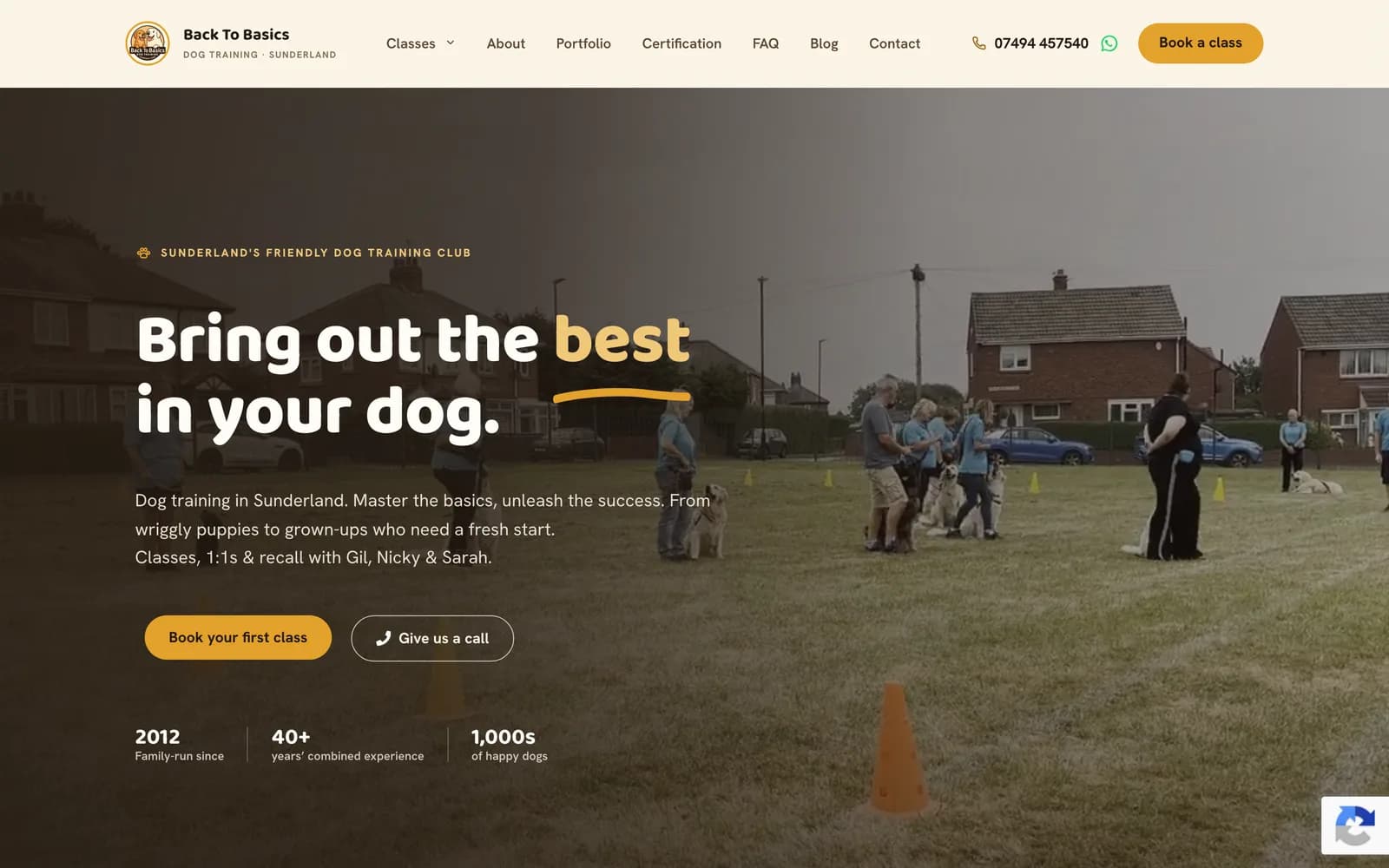 Back To Basics Dog Training website