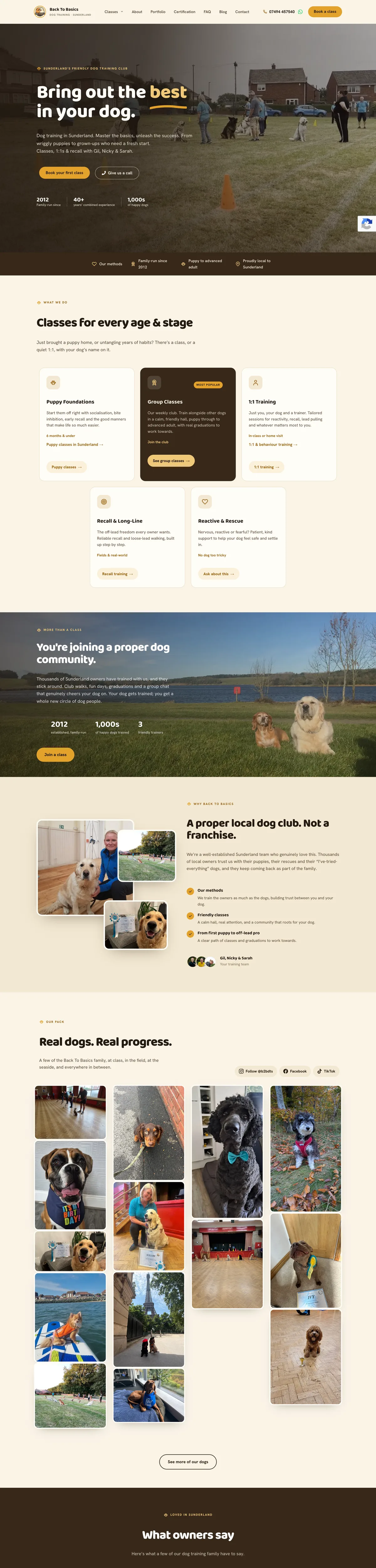 Back To Basics Dog Training on desktop
